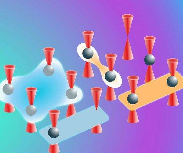 Scientists develop fermionic quantum processor