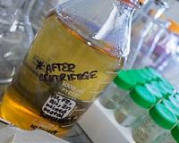 Buckyballs offer environmental benefits