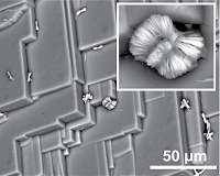 Treating solar cell materials reveals formation of unexpected microstructures