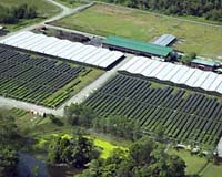 Supporting A New Approach To Tropical Forestry