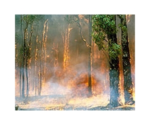 When dinosaurs roamed a fiery landscape
