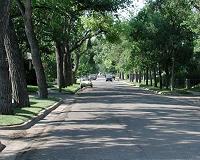 Trees can make or break city weather