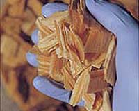 Researchers turn biomass into energy