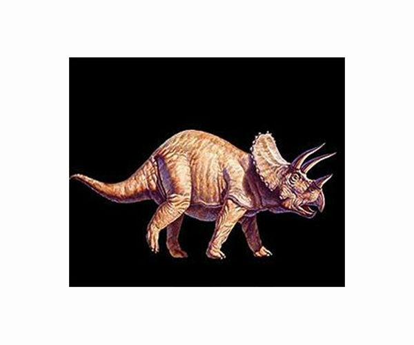 Triceratops, Stegosaurus ideal seed spreaders in prehistoric world