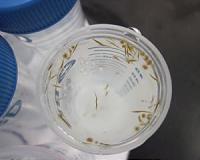 Revealing the ocean's hidden fertilizer
