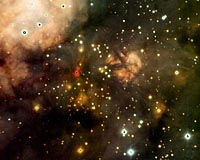 Subaru Head Count Of Low-Mass Stars In W3 Main