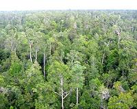 Chinese worker kidnapped in Malaysia's Borneo island