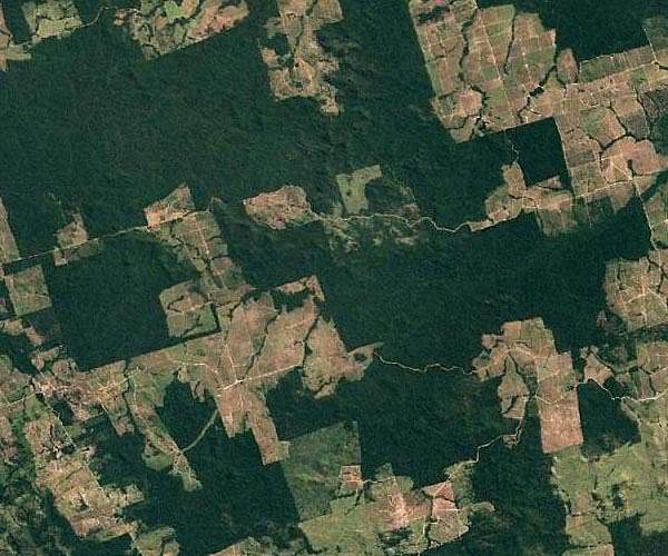 Brazil deforestation shatters April record