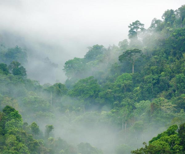Satellites show how Earth's water cycle is ramping up as climate warms