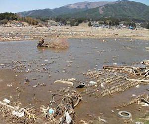 Japanese art shifts in response to tsunami disaster
