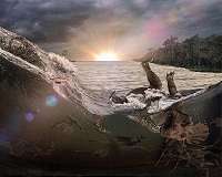 Dinosaurs faced global warming, elevated mercury levels, fossil shells show