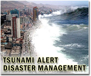 Japan tsunami 'miracle pine' cut down, preserved