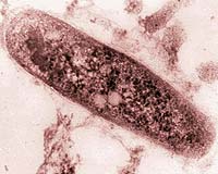 Scientists Discover How TB Develops Invincibility Against Only Available Treatment