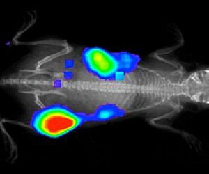 Gold nanocages could image and treat tumours