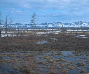 Caves point to thawing of Siberia