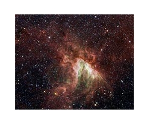 X-Raying Stellar Winds in a High-Speed Collision