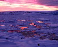 Scientists warn of tourism threat to Antarctica