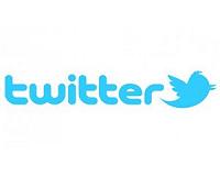 Twitter stung by stall in user growth