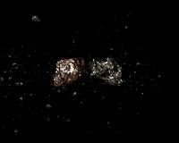 Hundreds Of Events Worldwide Scheduled For Asteroid Day 2016