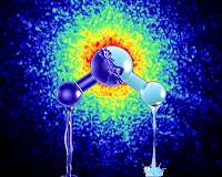 Water exists as two different liquids