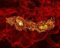 Simulations Illuminate Universe's First Twin Stars
