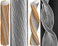 A new model for how twisted bundles take shape