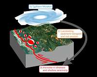 Typhoon changed earthquake patterns