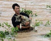 Eco-friendly pets: Fido reduces his carbon paw print