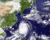 Two dead, one missing as Typhoon Kong-Rey hits S. Korea