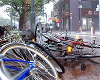 Typhoon rains lash eastern Japan