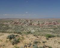Well-preserved skeleton reveals the ecology and evolution of early carnivorous mammals