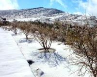 UAE mountain covered in rare snow
