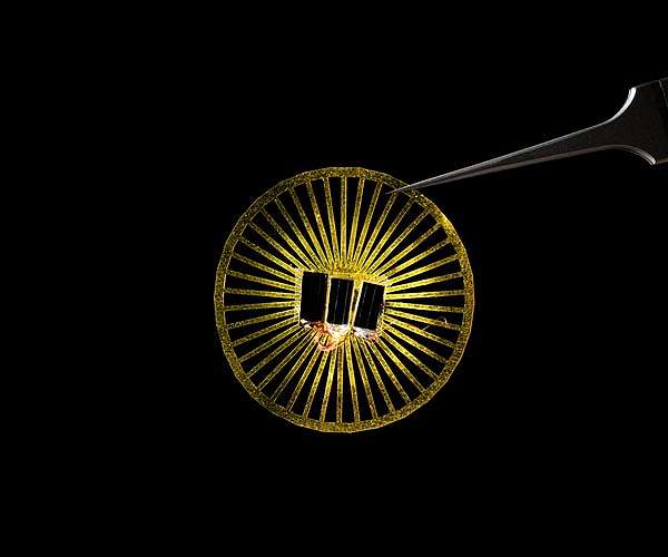 Tiny battery-free devices float in the wind like dandelion seeds