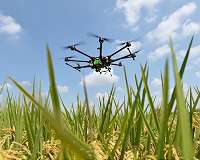 Game-changing technologies can transform our food systems