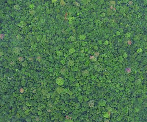 Evicted from their forests, Kenyan hunter-gatherers fight for their rights