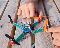 An insect-inspired drone deforms upon impact