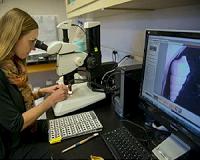Massive study explores ocean response to abrupt climate change