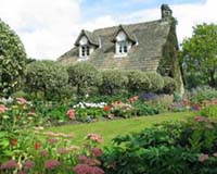 Botanists see winter fading away in U.K.