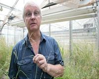 Root microbiome engineering improves plant growth