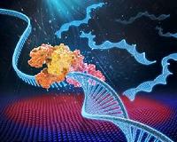 Heating and cooling with light leads to ultrafast DNA diagnostics