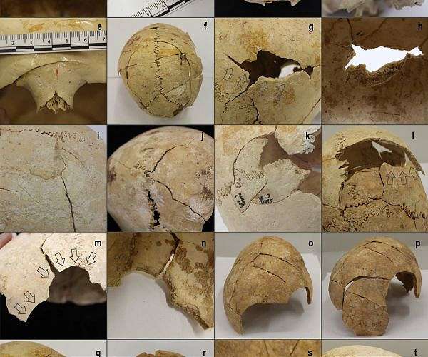 Larger-scale warfare may have occurred in Europe 1,000 years earlier