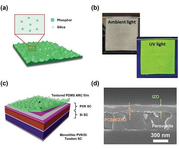 New study finds ways to improve light absorption in perovskite silicon tandem solar cells