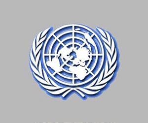 UN completes first Iraq-Syria aid airlift