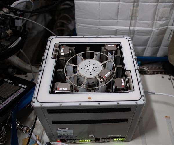 Asteroids vs. microbes