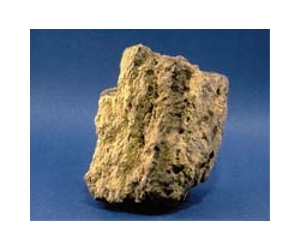 Outside View: Iran and uranium