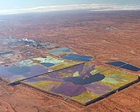 Radioactive matter migrates faster through fractured carbonate rock
