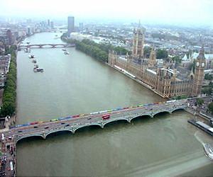 Rapid urban expansion threatens biodiversity