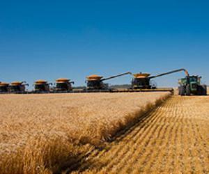 China import deal boosts Argentina's genetically modified crops