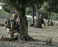 US may send additional troops to Afghanistan next year