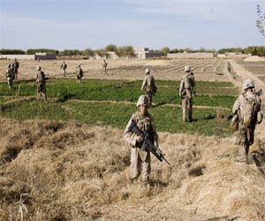 Afghan progress like 'watching grass grow': US commander